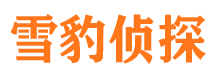 坡头侦探公司